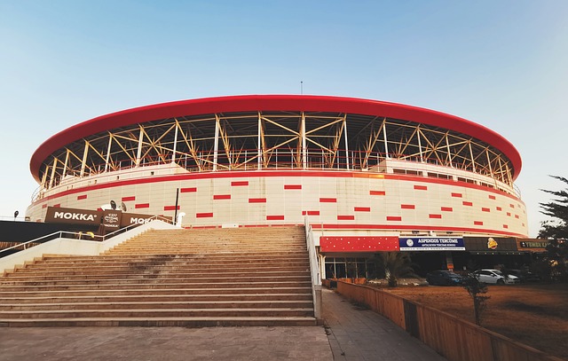 成功的国家 成功的国家