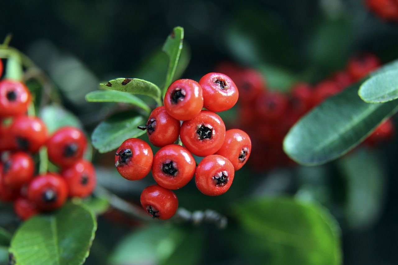 仅是一场速 仅是一场速