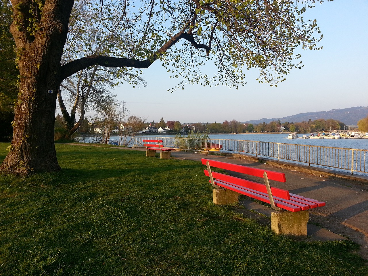 即便他们未 即便他们未