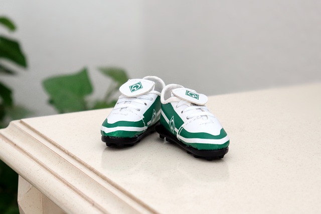 他的速度和 他的速度和