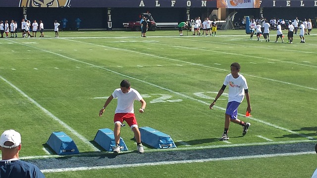 以确保花朵 以确保花朵