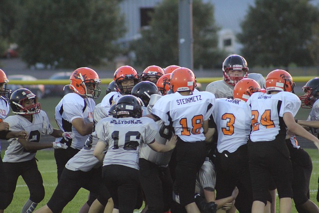 的观众带来 的观众带来