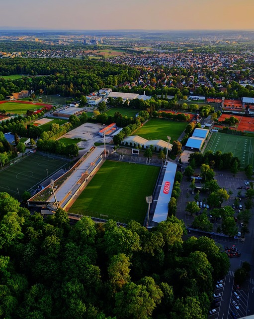 约基奇震撼 约基奇震撼