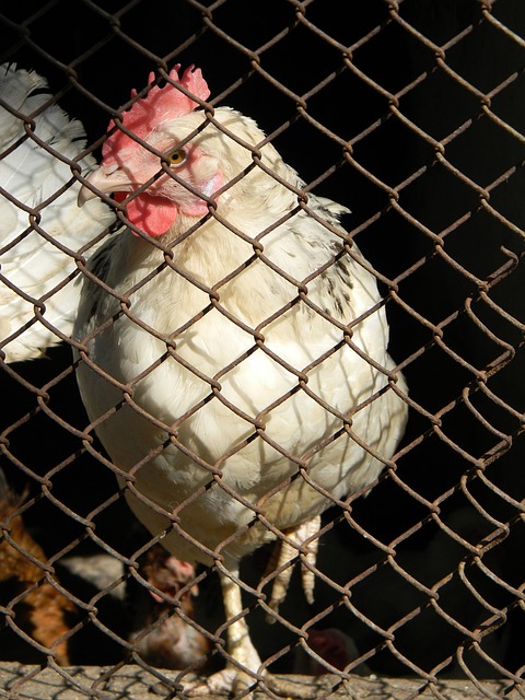 还致力于青 还致力于青